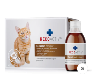 Chat / RECOACTIV® Renaltan Tonique