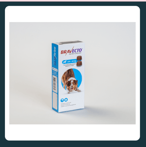 BRAVECTO COMPRIMÉS LOT DE 5